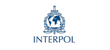 31 Interpol
