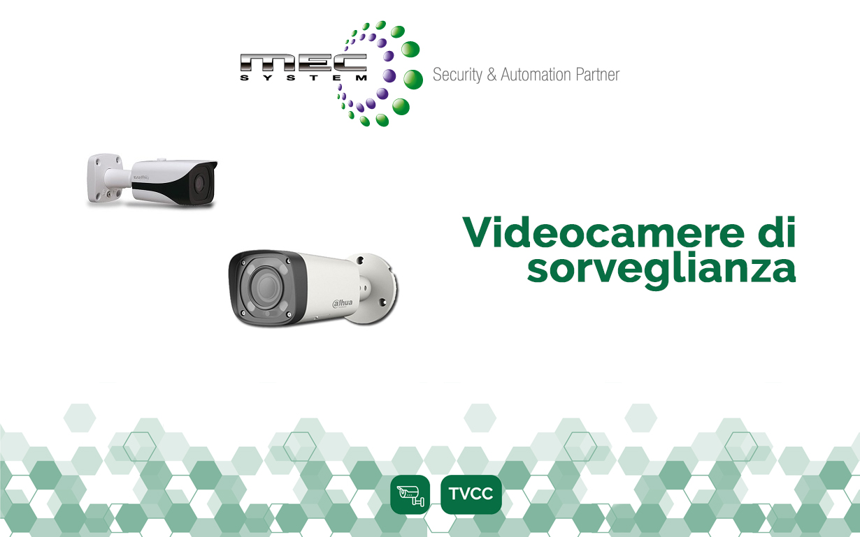 Videocamere di sorveglianza